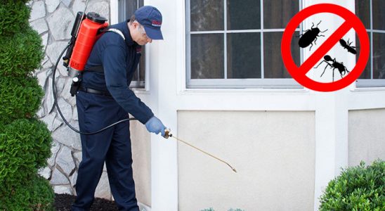 Yenişarbademli Gümüşkurt İlaçlama böcek ilaçlama ve haşere kontrolü — ilaclama-tr.com